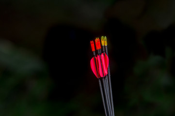 archery arrows on a black background