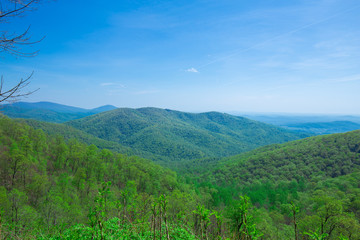 Obraz premium Endless view of mountains. Beautiful nature in Tennesse. USA. 