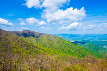 Endless view of mountains. Beautiful nature in Tennesse. USA. 