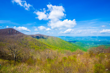 Endless view of mountains. Beautiful nature in Tennesse. USA. 