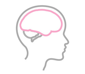 Brain and head silhouette on a white background. Vector illustration. 