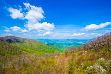 Endless view of mountains. Beautiful nature in Tennesse. USA. 