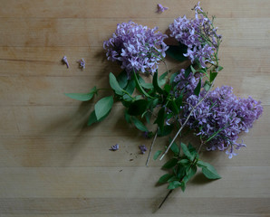Lilacs on Wooden Cutting Board