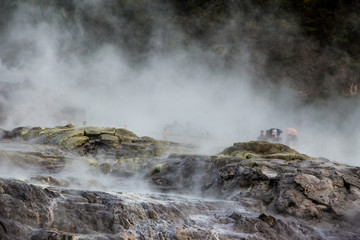 Fototapeta na wymiar A walk through a geothermal park in Rotorua, New Zealand with tourists in the fog