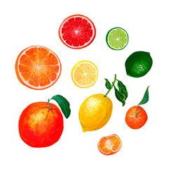 Assorted citrus. Citrus fruit organic food set. Hand drawn collection with bright fresh fruits on white background. Oranges, tangerines, lemons and limes. Textured acrylic drawing.