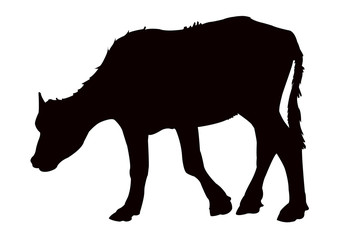 a bull body silhouette vector