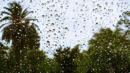 Drops of rain on the window; blurred trees in the background