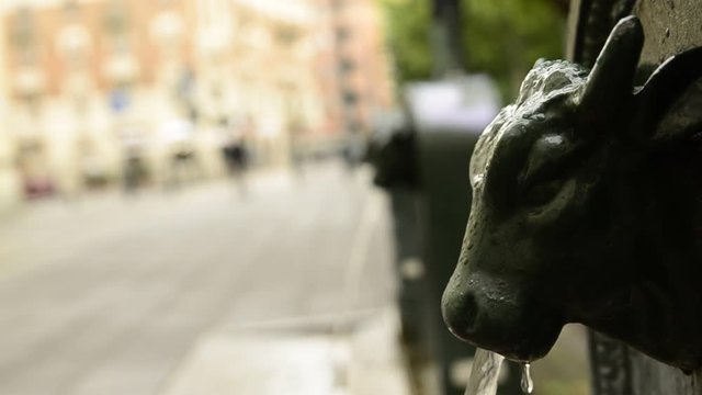 Turin, Piedmont, Italy. May 2019. A look at Piazza Gian Lorenzo Bernini. A triptych of drinking water fountains, the first shows the clear bull's head and the others blurred in the background.