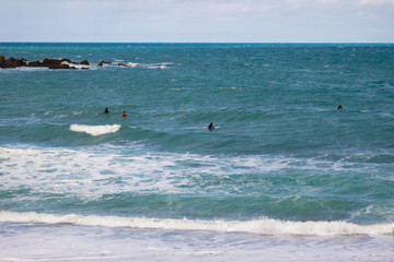 Surfers in the ocean waves in New Zealand, Wellington