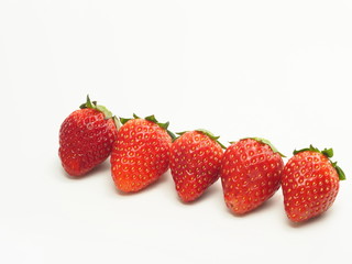 いちご　とちおとめ