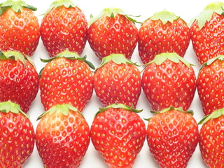 いちご　とちおとめ