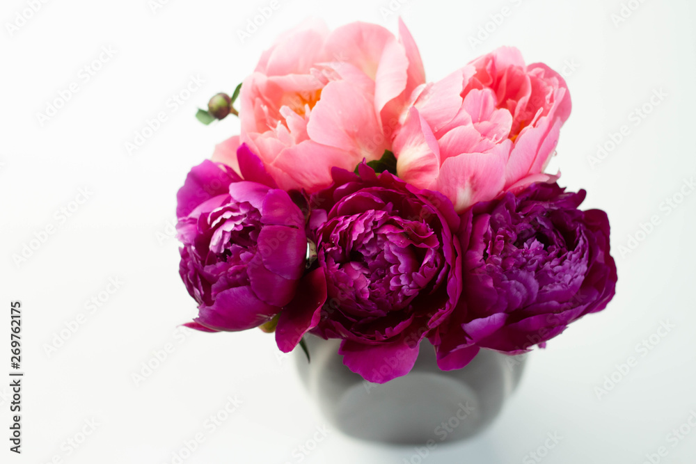 Wall mural light and dark pink peonies in a vase on white background