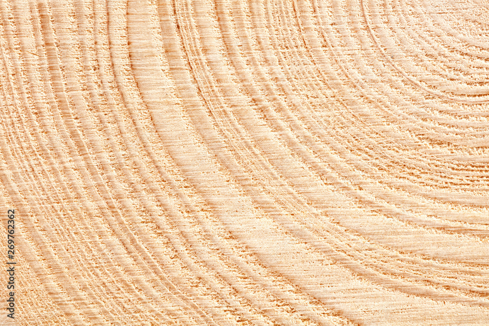 Poster large circular piece of wood cross section with tree ring texture pattern and cracks background. det