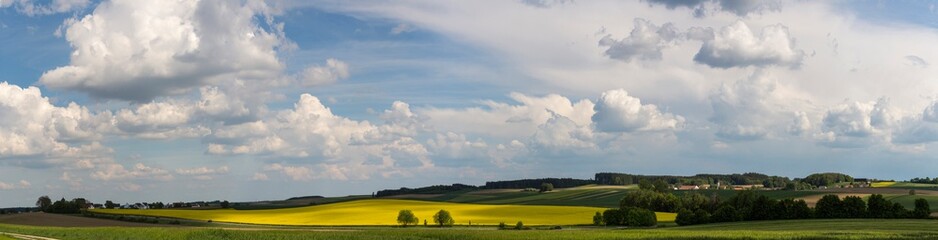 landscape, rape fields, rape seed