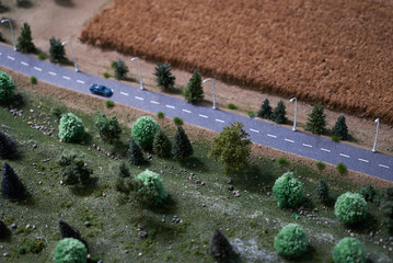 Country road with green trees, car and dry wheat crop field. Agriculture concept