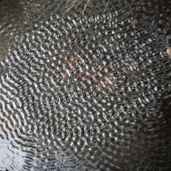 Ripples on the water like a fancy drawing
