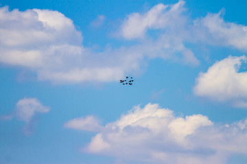 Flying birds. Blue white sky background. 
