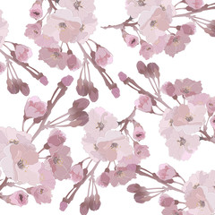 seamless pattern with cherry flowers