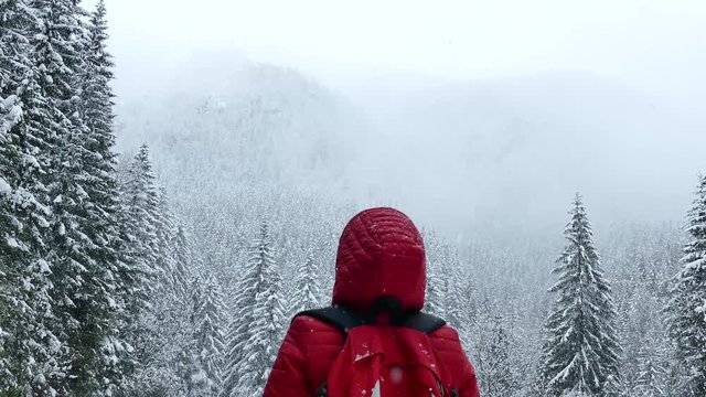 The girl rejoices in the snow in winter. Beautiful snowfall. Snow-covered trees in the forest.