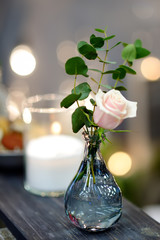 Table set for an event party or wedding reception in rustic or scandinavian style decorated moss and fern. Fashionable table set.