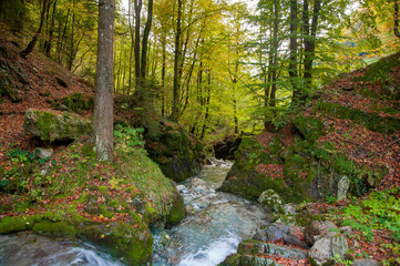 Obraz premium mountain river