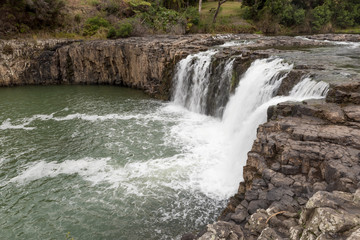 Harare Falls on the Waitangi River near Paihia, Northland, New Zealand, flowing over basalt rocks.