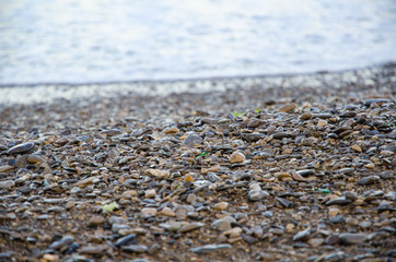 Background of seashore, pebble beach and sea close up