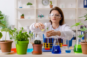 Old female biotechnology chemist working in the lab 