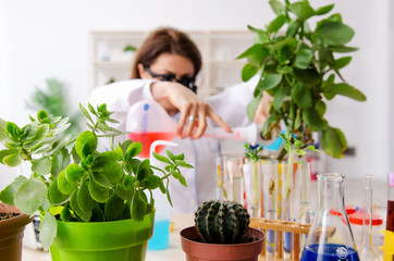 Old female biotechnology chemist working in the lab 