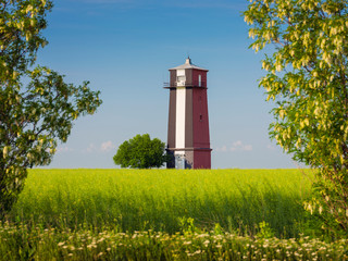 lighthouse between tree branches in spring day