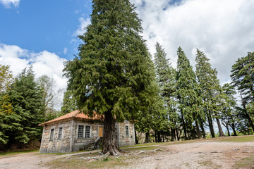 View of the traditional houses in the village in northern Portugal. Located in Peneda-Geres National Park.
