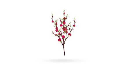 Flower Plant isolated 3D Rendering