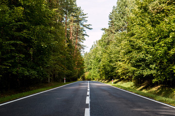 road in the forest