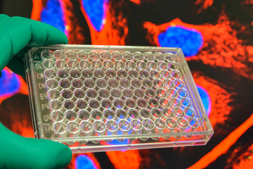 In the biomedical laboratory.