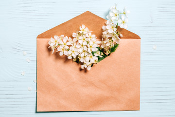 Bird cherry blossom branch in envelope on blue wood background.