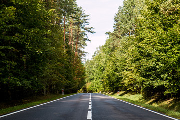 road in the forest