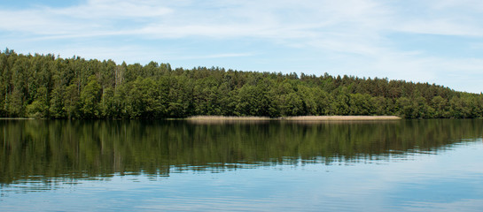 lake in forest