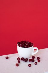 A white cup with red currant berry on a red background. small fruit
