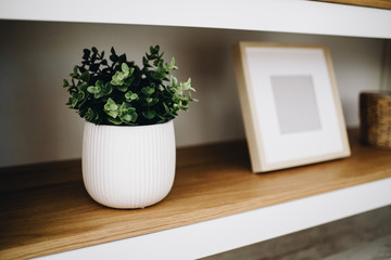 Modern potted evergreen artificial plants used in interior decoration. Potted plant on shelf next to empty photoframe.