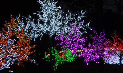 Illuminated trees with lights in Chengdu, China at Wuhou Temple Lantern Festival. The colourful lights on the trees celebrate Chinese New Year.