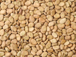 Pile of broad beans, background