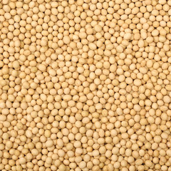 Soybean background