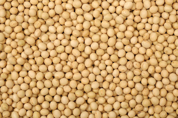 Soybean background