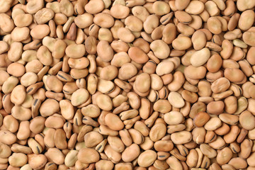 Pile of broad beans, background