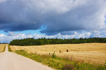 Hay bales. Agriculture field with cloudy sky 