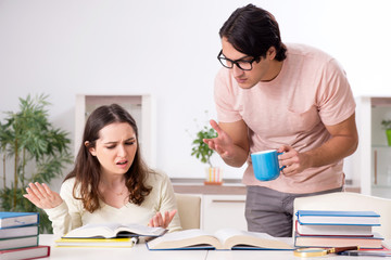 Students preparing for exam together at home 