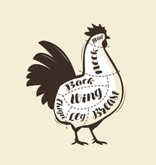 Rooster or chicken meat cutting. Menu for restaurant or butcher shop. Vector vintage