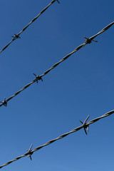 Barbed wire