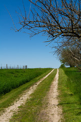 Fototapeta na wymiar Road through the tallgrass prairie