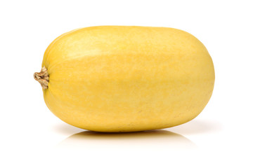 organic spaghetti squash Cucurbita pepo vegetable on white background